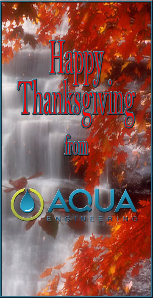 Thanksgiving Aqua 2015D