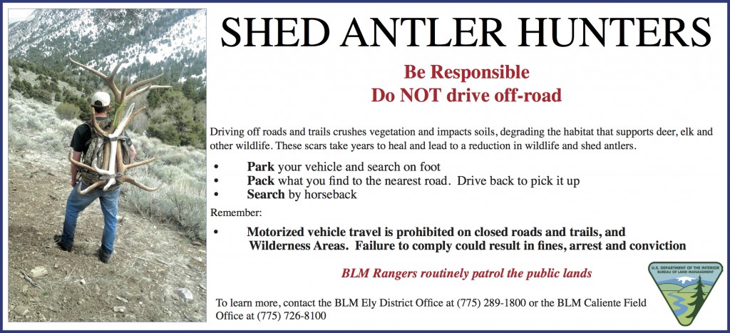 BLM antler shed ad (4)