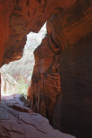 "Slot Canyon Exit, Zion Valley Overlook Trail" (Zion National Park)