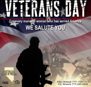 nbt-veterans-day-1-2-page-2015