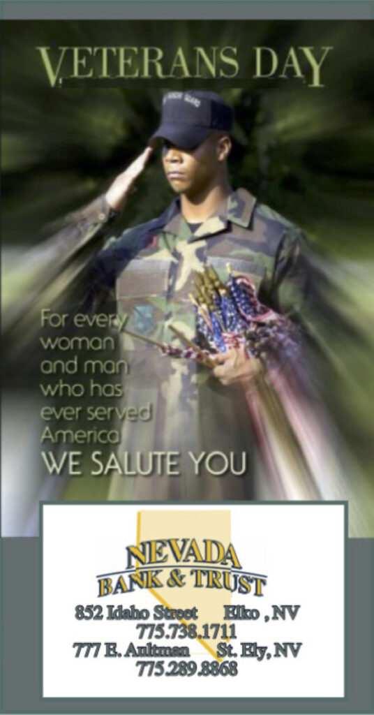 This image has an empty alt attribute; its file name is NBT-Veterans-Ad-536x1024.jpg